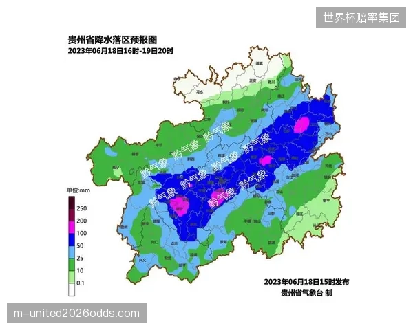 球队训练计划需应对天气突变，比赛可能因雷暴中断影响战术部署。