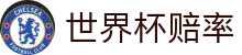 2026美加墨世界杯赔率查询 - 2026世界杯赔率网 | 实时行情与水位分析